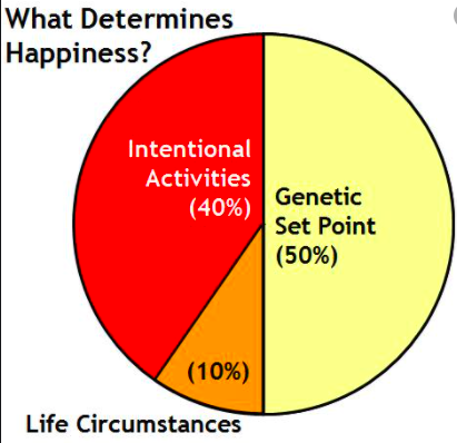 A pie chart illustrating that obtaining happiness is 10% life circumstances, 50% your genetic set point, and 40% intentional activities.